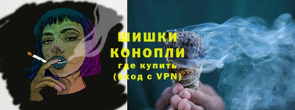 СК Саяногорск