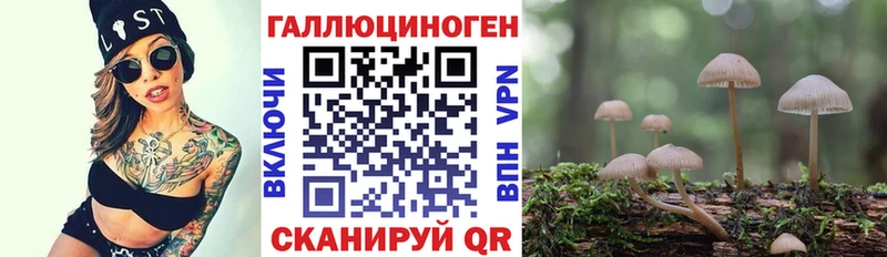 где купить   Оха  Галлюциногенные грибы прущие грибы 